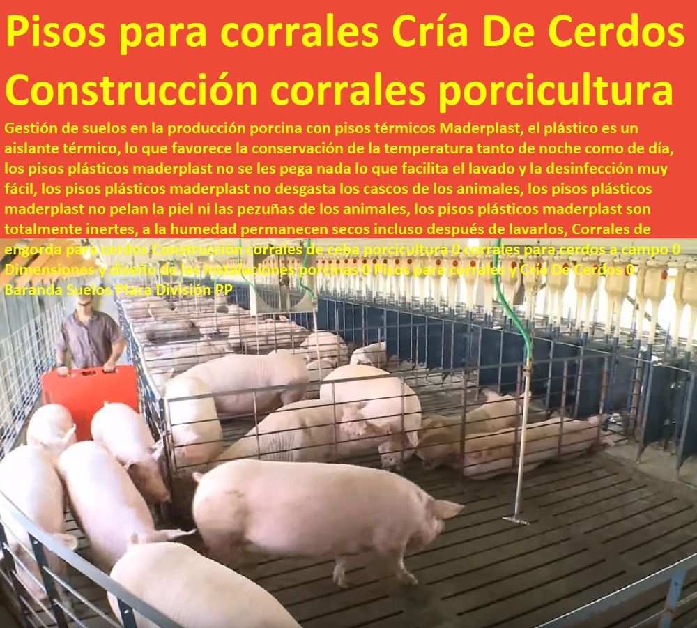 Corrales de engorda para cerdos Construcción corrales de ceba porcicultura 0 corrales para cerdos a campo 0 Dimensiones y diseño de las instalaciones porcinas 0 Pisos para corrales y Cría De Cerdos 0 Baranda Suelos Placa División PP Corrales de engorda para cerdos como criar marranos, cómo criar cerdos técnicas modernas, manual para criar cerdos, como hacer un criadero de cerdos, cría de cerdos rentabilidad técnicamente, como engordar cerdos con maíz tecnificado, instalaciones para cría de cerdos, Construcción corrales de ceba porcicultura 0 corrales para cerdos a campo 0 Dimensiones y diseño de las instalaciones porcinas 0 Pisos para corrales y Cría De Cerdos 0 Baranda Suelos Placa División PP